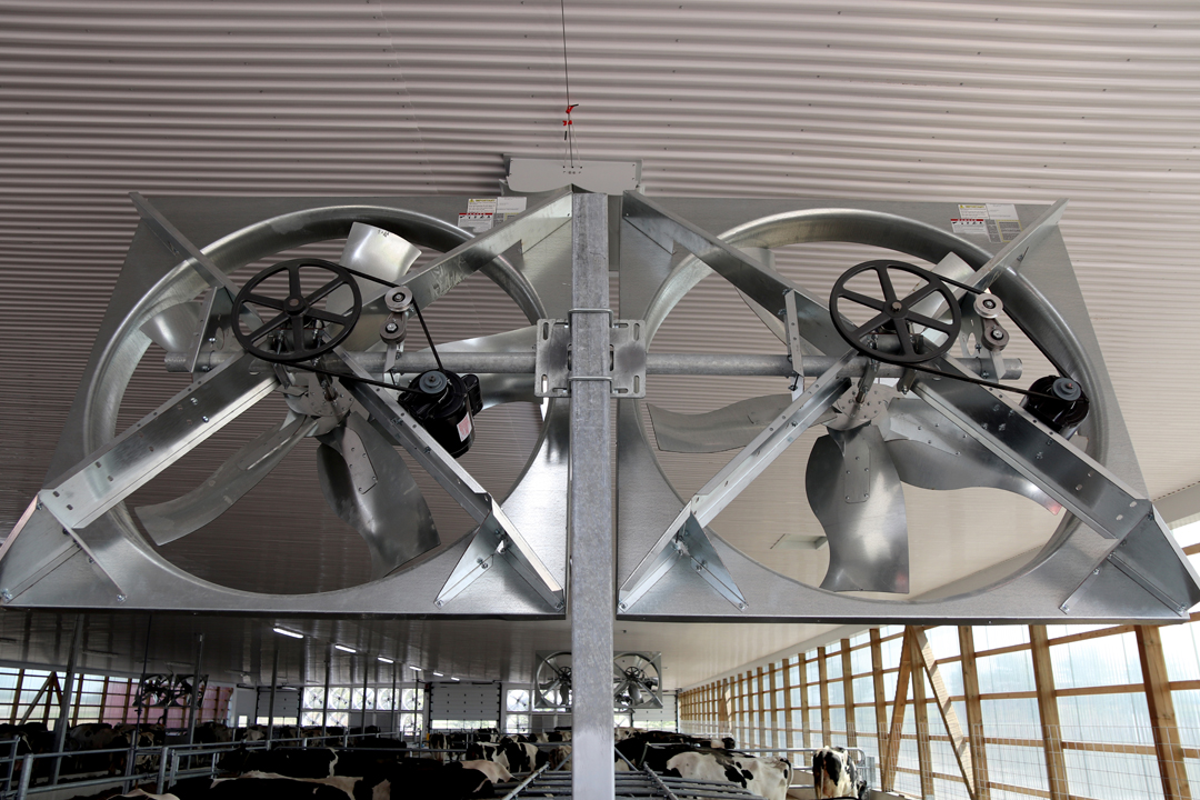 DLS Panel Fans Dairy Lane Systems Dairy Barn Ventilation
